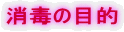 ���ł̖ړI